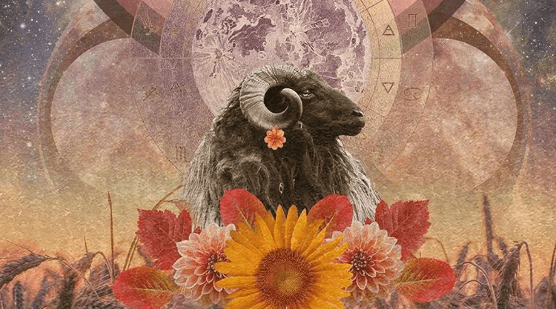 17 Ekim 2024 Koç Dolunayı: Yenilik ve İnisiyatif Zamanı